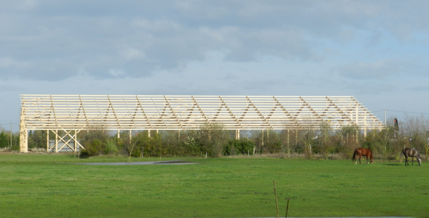 Haras de Safarome en bois lamellé collé