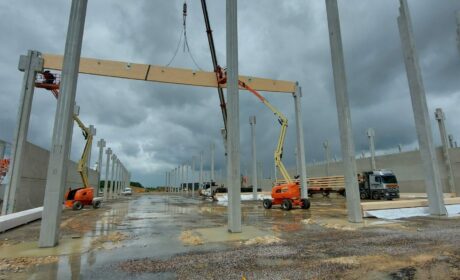 Structure en bois lamellé collé pour la plateforme logistique maisons du monde
