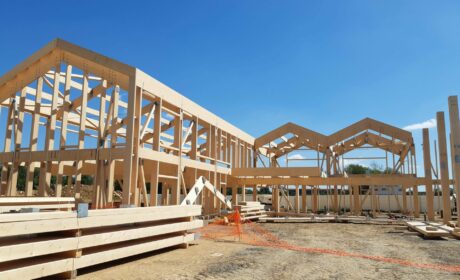 structure en bois pour bureaux