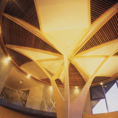 charpente en bois pour bâtiment tertiaire